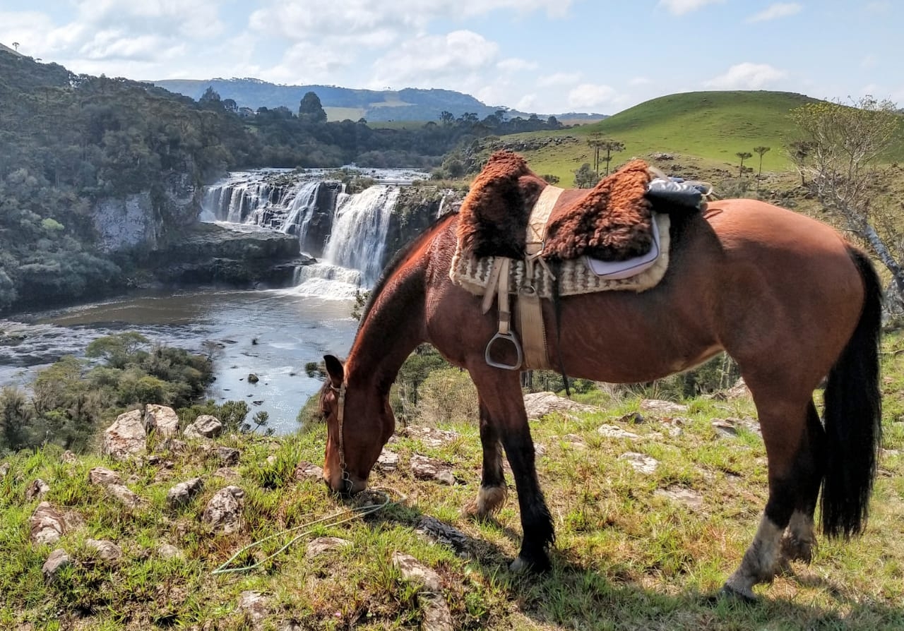 Horseback trail ride in BRAZIL CANYONS & WATERFALLS IN THE GAUCHO COUNTRY Cap Rando